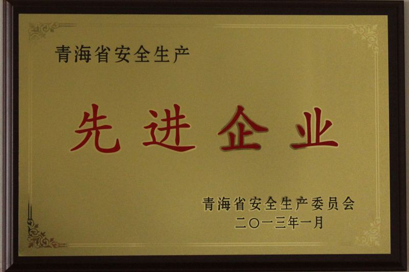 安全生產(chǎn)先進(jìn)企業(yè)