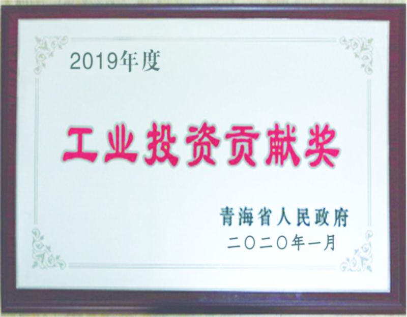 2019年度工業(yè)投資貢獻(xiàn)獎(jiǎng)